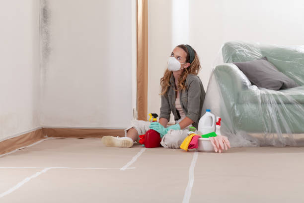 Reliable Mold Cleanup contractor in Richmond, VA by Cheap Mold Removal